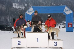 Lenk 2012 SM